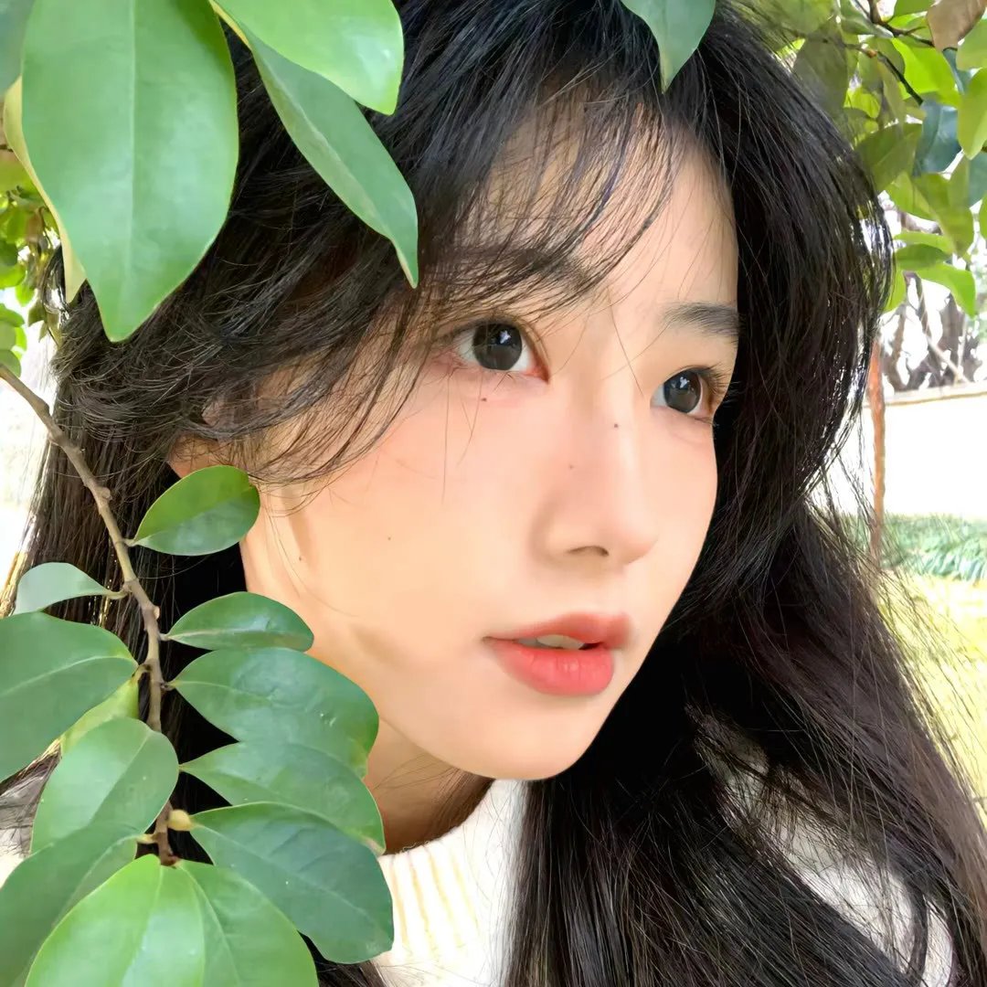 血嗜森林